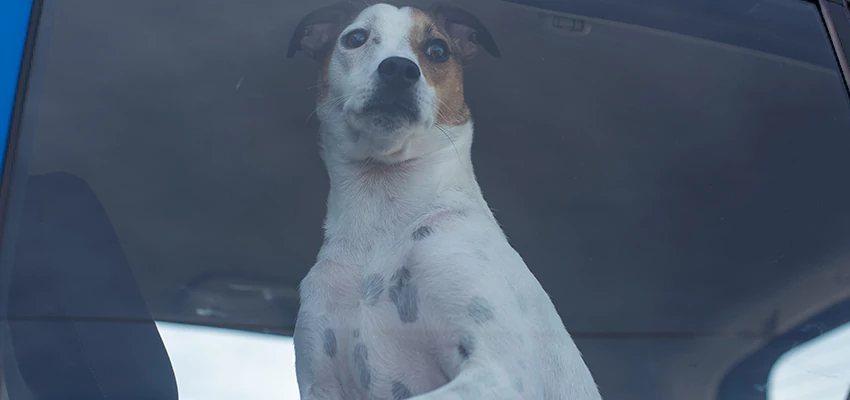 Car Lockout Solutions in San Carlos, California